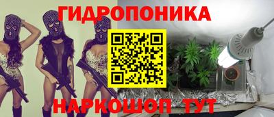 стаф Тверь